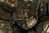 Septarian Dragon Egg Geode - Black Crystals #110876-2